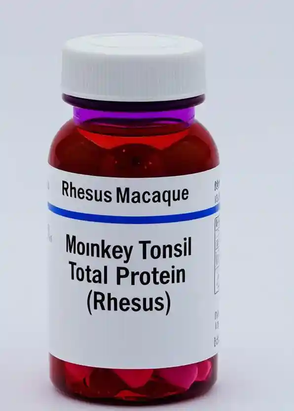 Monkey Tonsil Total Protein, Rhesus - 0.5 mg