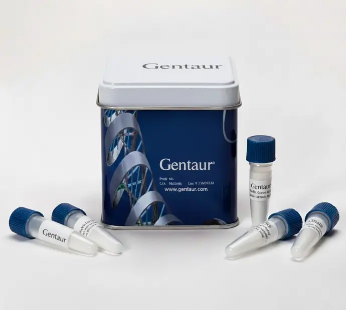 UreaGel Loading Buffer