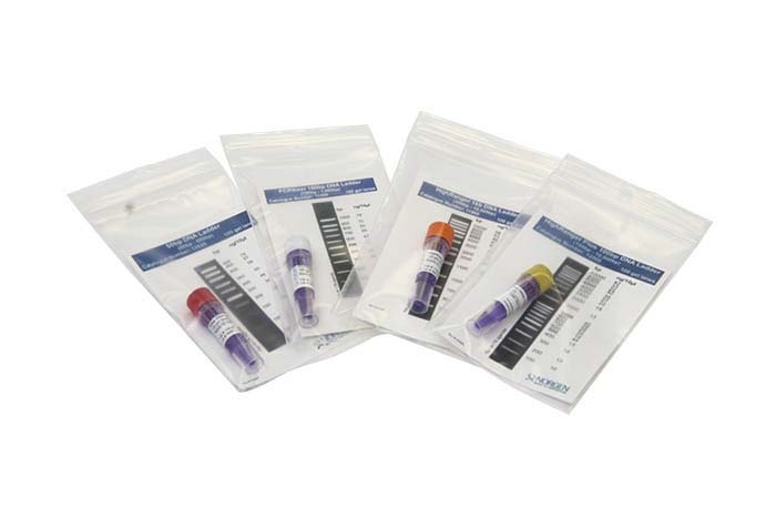 PCRRanger 100bp DNA Ladder, 100 Loads